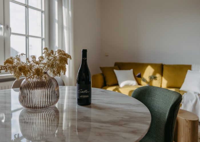 Villa Seensucht_034©Burgenland Tourismus_wearegiving